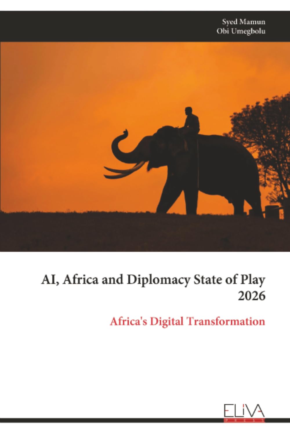 Cover of AI, Africa and Diplomacy: State of Play 2026 – Africa's Digital Transformation